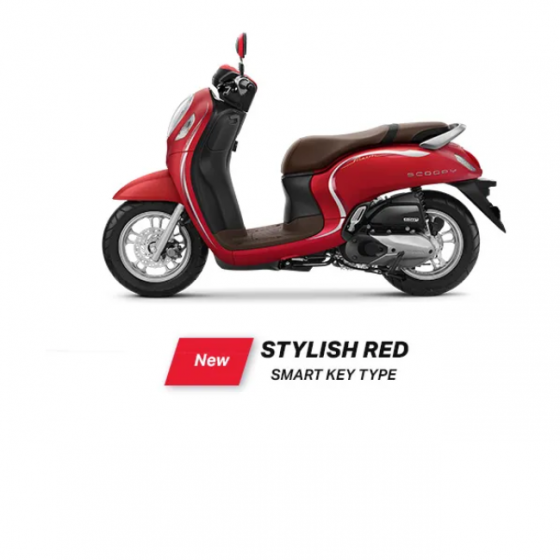 Foto Motor Scoopy Stylish