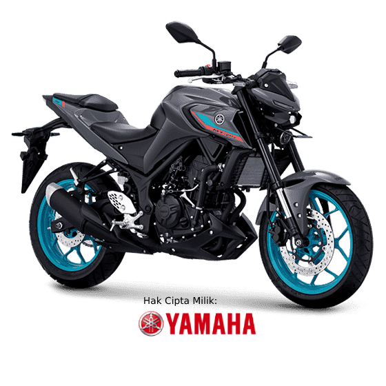 Foto Motor MT-25