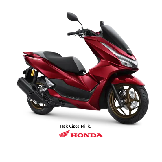 Foto Motor New PCX 160 Roadsync